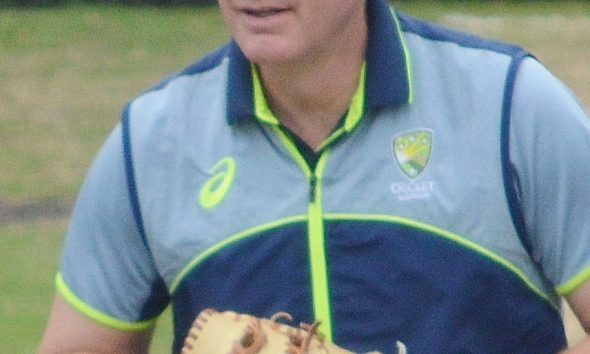 Cricket (representative image)