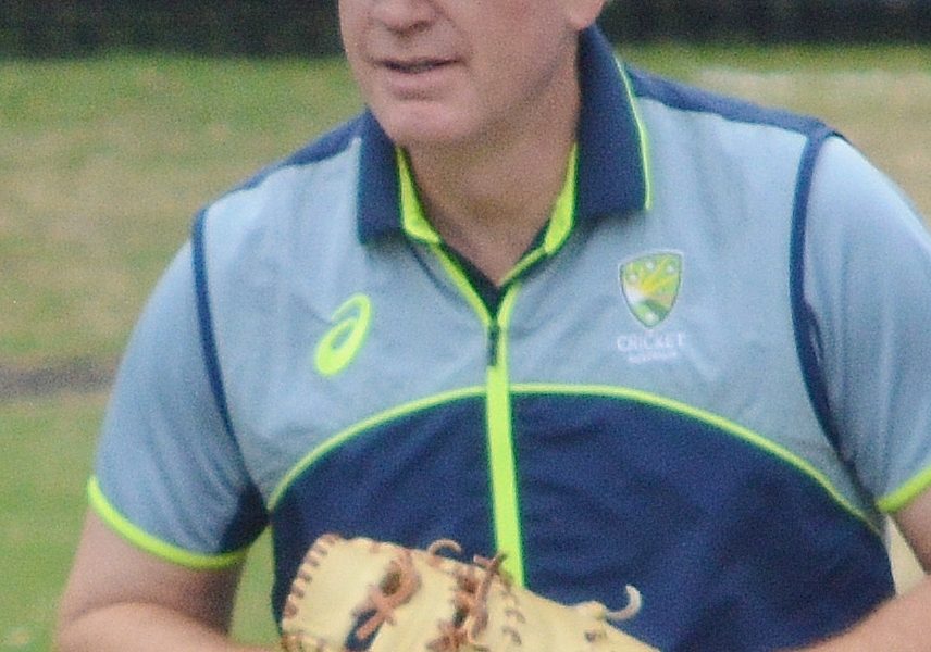Cricket (representative image)