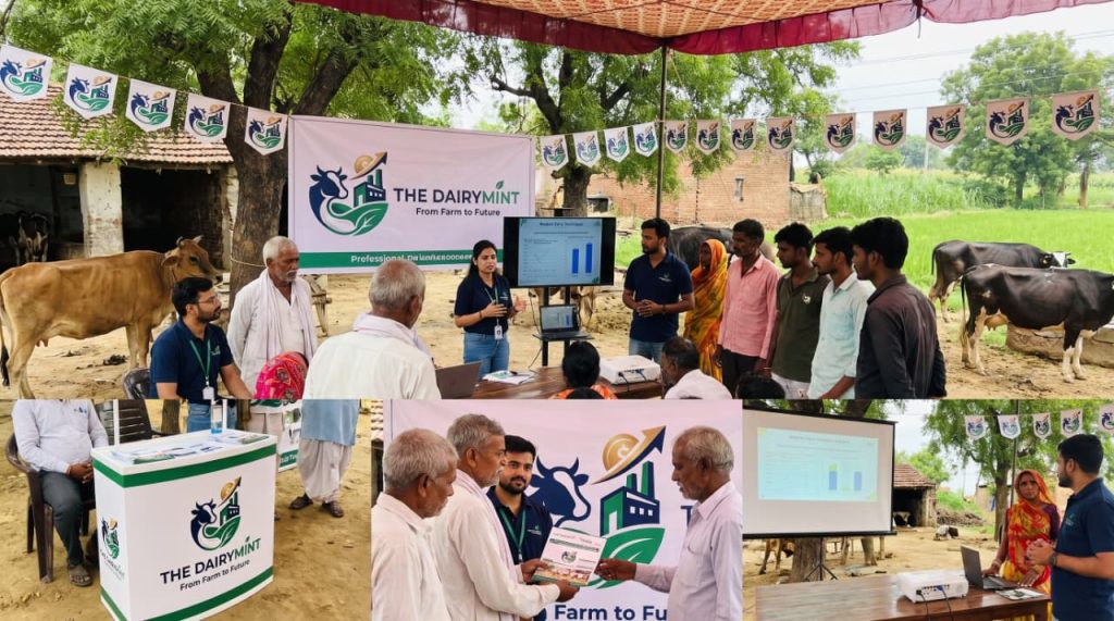 Understanding The DairyMint’s Modern Dairy Business Model