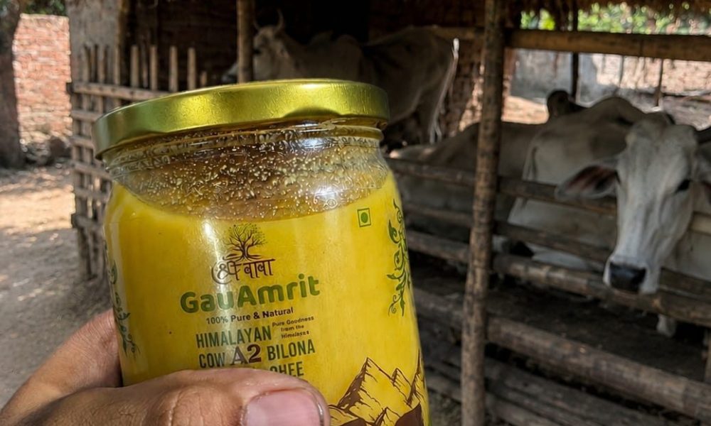 Purity by Process: Examining GauAmrit's Bilona-Method Quality Claims
