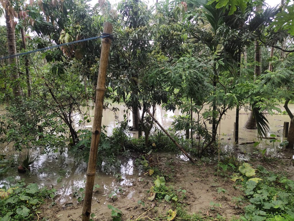 IMD issues 19-state heavy rain alert, warns of flash floods