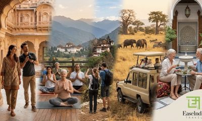 Tanzania Safari Packages From India: Because Some Trips You Remember For the Rest of Your Life